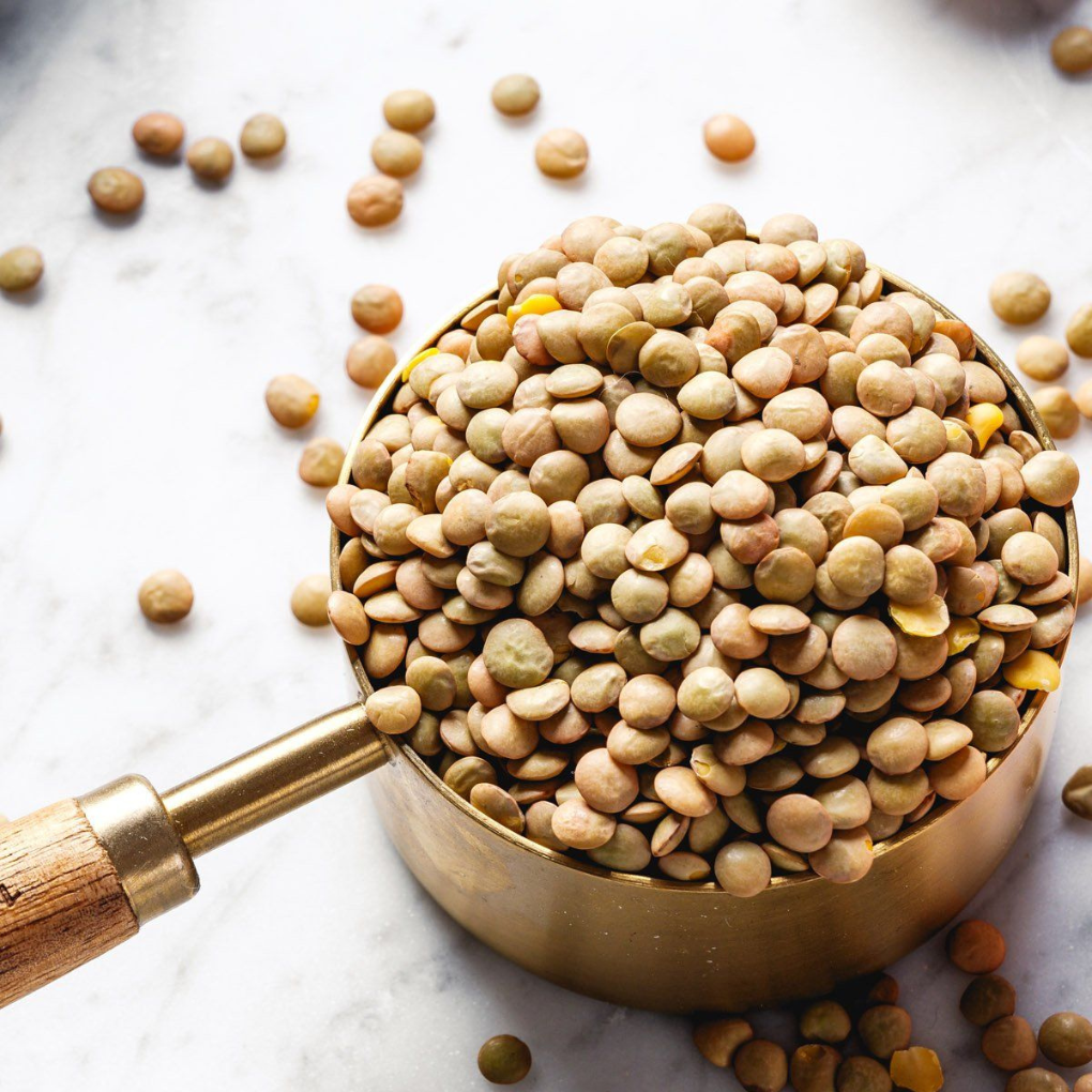 Brown Lentils