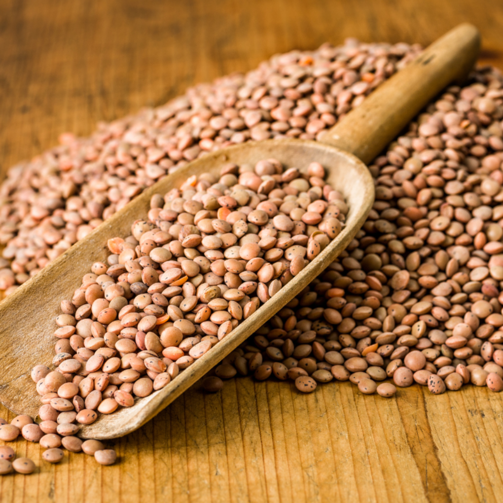 Brown Lentils