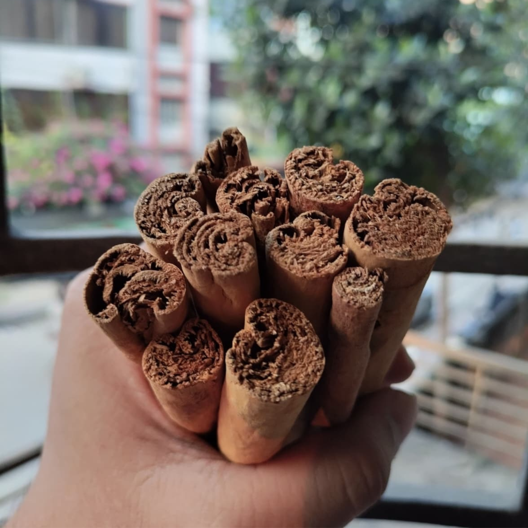 Ceylon Cinnamon (Alba Grade)